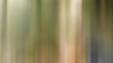 Soyut PUI Işık Arkaplan Duvar Kağıdı Renkli Gradyan Bulanık Yumuşak Yumuşak Hareket Parlaklığı