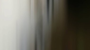 Soyut PUI Işık Arkaplan Duvar Kağıdı Renkli Gradyan Bulanık Yumuşak Yumuşak Hareket Parlaklığı