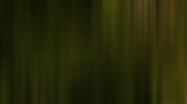 Soyut PUI Işık Arkaplan Duvar Kağıdı Renkli Gradyan Bulanık Yumuşak Yumuşak Hareket Parlaklığı