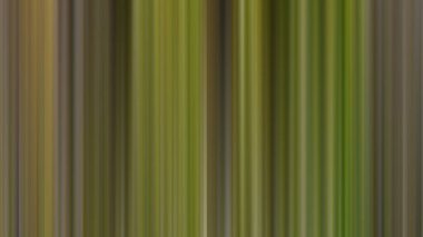 Soyut PUI Işık Arkaplan Duvar Kağıdı Renkli Gradyan Bulanık Yumuşak Yumuşak Hareket Parlaklığı