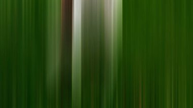 Soyut PUI Işık Arkaplan Duvar Kağıdı Renkli Gradyan Bulanık Yumuşak Yumuşak Hareket Parlaklığı