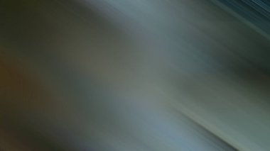 Soyut PUI Işık Arkaplan Duvar Kağıdı Renkli Gradyan Bulanık Yumuşak Yumuşak Hareket Parlaklığı