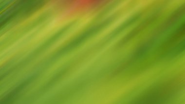 Soyut PUI Işık Arkaplan Duvar Kağıdı Renkli Gradyan Bulanık Yumuşak Yumuşak Hareket Parlaklığı