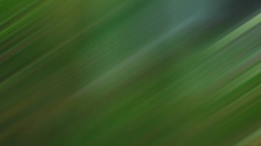 Soyut PUI Işık Arkaplan Duvar Kağıdı Renkli Gradyan Bulanık Yumuşak Yumuşak Hareket Parlaklığı