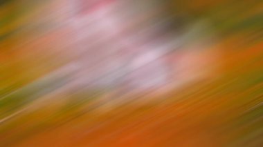 Soyut PUI Işık Arkaplan Duvar Kağıdı Renkli Gradyan Bulanık Yumuşak Yumuşak Hareket Parlaklığı