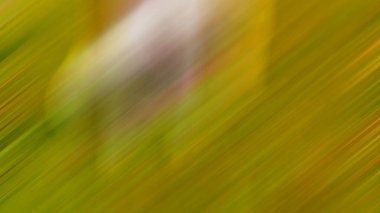 Soyut PUI Işık Arkaplan Duvar Kağıdı Renkli Gradyan Bulanık Yumuşak Yumuşak Hareket Parlaklığı