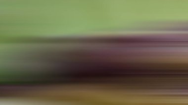 Soyut PUI Işık Arkaplan Duvar Kağıdı Renkli Gradyan Bulanık Yumuşak Yumuşak Hareket Parlaklığı