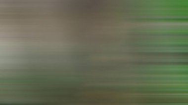 Soyut PUI Işık Arkaplan Duvar Kağıdı Renkli Gradyan Bulanık Yumuşak Yumuşak Hareket Parlaklığı