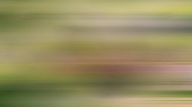 Soyut PUI Işık Arkaplan Duvar Kağıdı Renkli Gradyan Bulanık Yumuşak Yumuşak Hareket Parlaklığı