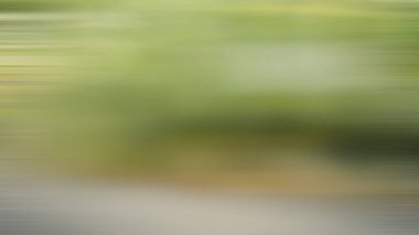 Soyut PUI Işık Arkaplan Duvar Kağıdı Renkli Gradyan Bulanık Yumuşak Yumuşak Hareket Parlaklığı