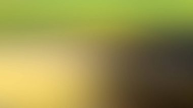 Soyut PUI Işık Arkaplan Duvar Kağıdı Renkli Gradyan Bulanık Yumuşak Yumuşak Hareket Parlaklığı