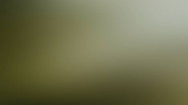 Soyut PUI Işık Arkaplan Duvar Kağıdı Renkli Gradyan Bulanık Yumuşak Yumuşak Hareket Parlaklığı