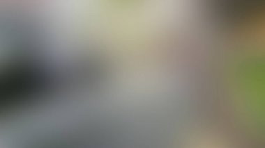 Soyut PUI Işık Arkaplan Duvar Kağıdı Renkli Gradyan Bulanık Yumuşak Yumuşak Hareket Parlaklığı