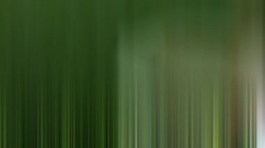 Soyut PUI Işık Arkaplan Duvar Kağıdı Renkli Gradyan Bulanık Yumuşak Yumuşak Hareket Parlaklığı