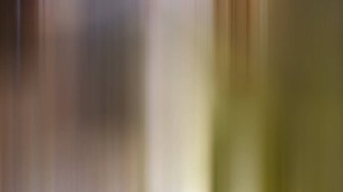 Soyut PUI Işık Arkaplan Duvar Kağıdı Renkli Gradyan Bulanık Yumuşak Yumuşak Hareket Parlaklığı