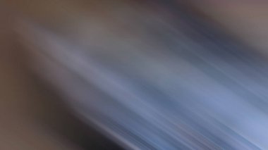 Soyut PUI Işık Arkaplan Duvar Kağıdı Renkli Gradyan Bulanık Yumuşak Yumuşak Hareket Parlaklığı