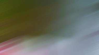 Soyut PUI Işık Arkaplan Duvar Kağıdı Renkli Gradyan Bulanık Yumuşak Yumuşak Hareket Parlaklığı