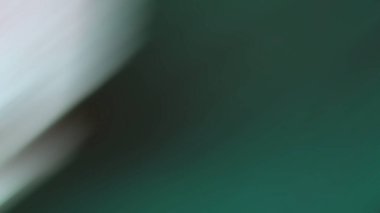 Soyut PUI Işık Arkaplan Duvar Kağıdı Renkli Gradyan Bulanık Yumuşak Yumuşak Hareket Parlaklığı