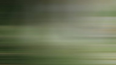 Soyut PUI Işık Arkaplan Duvar Kağıdı Renkli Gradyan Bulanık Yumuşak Yumuşak Hareket Parlaklığı