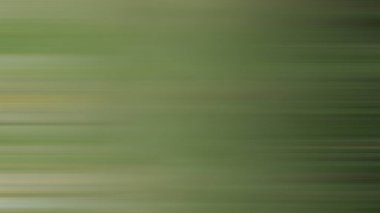 Soyut PUI Işık Arkaplan Duvar Kağıdı Renkli Gradyan Bulanık Yumuşak Yumuşak Hareket Parlaklığı