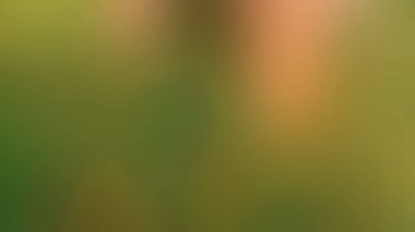 Soyut PUI Işık Arkaplan Duvar Kağıdı Renkli Gradyan Bulanık Yumuşak Yumuşak Hareket Parlaklığı