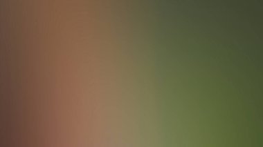 Soyut PUI Işık Arkaplan Duvar Kağıdı Renkli Gradyan Bulanık Yumuşak Yumuşak Hareket Parlaklığı