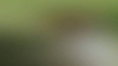 Soyut PUI Işık Arkaplan Duvar Kağıdı Renkli Gradyan Bulanık Yumuşak Yumuşak Hareket Parlaklığı