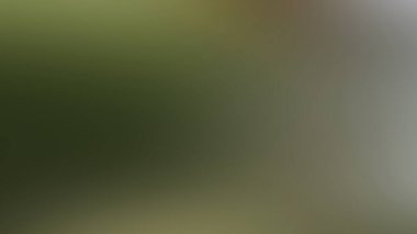 Soyut PUI Işık Arkaplan Duvar Kağıdı Renkli Gradyan Bulanık Yumuşak Yumuşak Hareket Parlaklığı