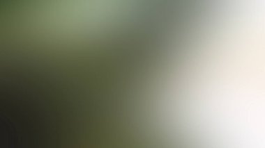 Soyut PUI Işık Arkaplan Duvar Kağıdı Renkli Gradyan Bulanık Yumuşak Yumuşak Hareket Parlaklığı