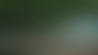 Soyut PUI Işık Arkaplan Duvar Kağıdı Renkli Gradyan Bulanık Yumuşak Yumuşak Hareket Parlaklığı