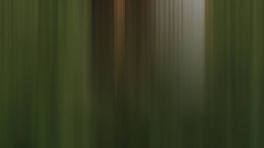 Soyut PUI Işık Arkaplan Duvar Kağıdı Renkli Gradyan Bulanık Yumuşak Yumuşak Hareket Parlaklığı