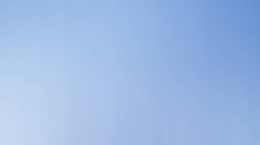 Soyut PUI Işık Arkaplan Duvar Kağıdı Renkli Gradyan Bulanık Yumuşak Yumuşak Hareket Parlaklığı