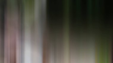 Soyut PUI Işık Arkaplan Duvar Kağıdı Renkli Gradyan Bulanık Yumuşak Yumuşak Hareket Parlaklığı