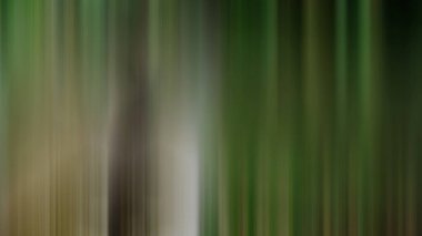 Soyut PUI Işık Arkaplan Duvar Kağıdı Renkli Gradyan Bulanık Yumuşak Yumuşak Hareket Parlaklığı