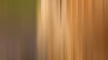 Soyut PUI Işık Arkaplan Duvar Kağıdı Renkli Gradyan Bulanık Yumuşak Yumuşak Hareket Parlaklığı