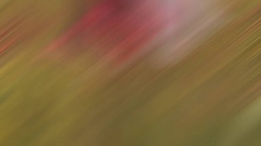 Soyut PUI Işık Arkaplan Duvar Kağıdı Renkli Gradyan Bulanık Yumuşak Yumuşak Hareket Parlaklığı