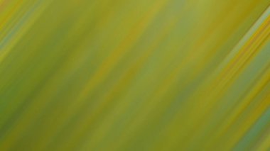 Soyut PUI Işık Arkaplan Duvar Kağıdı Renkli Gradyan Bulanık Yumuşak Yumuşak Hareket Parlaklığı