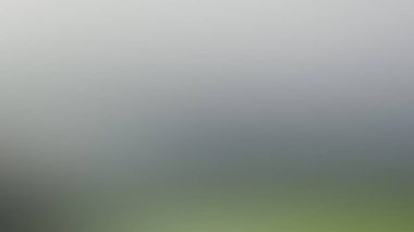 Soyut PUI Işık Arkaplan Duvar Kağıdı Renkli Gradyan Bulanık Yumuşak Yumuşak Hareket Parlaklığı