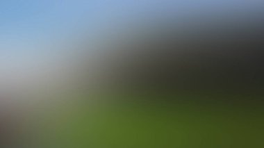 Soyut PUI Işık Arkaplan Duvar Kağıdı Renkli Gradyan Bulanık Yumuşak Yumuşak Hareket Parlaklığı