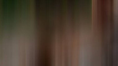 Soyut PUI20 Işık Arkaplan Duvar Kağıdı Renkli Gradyan Bulanık Yumuşak Yumuşak Hareket Parlaklığı