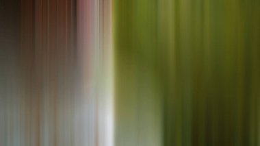 Soyut PUI20 Işık Arkaplan Duvar Kağıdı Renkli Gradyan Bulanık Yumuşak Yumuşak Hareket Parlaklığı