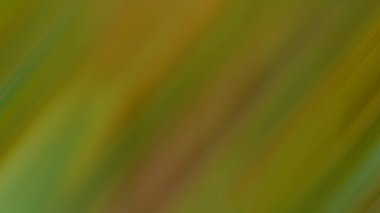 Soyut PUI20 Işık Arkaplan Duvar Kağıdı Renkli Gradyan Bulanık Yumuşak Yumuşak Hareket Parlaklığı