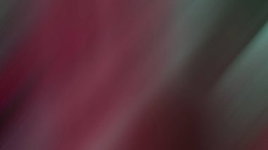 Soyut PUI20 Işık Arkaplan Duvar Kağıdı Renkli Gradyan Bulanık Yumuşak Yumuşak Hareket Parlaklığı