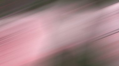 Soyut PUI20 Işık Arkaplan Duvar Kağıdı Renkli Gradyan Bulanık Yumuşak Yumuşak Hareket Parlaklığı