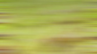 Soyut PUI20 Işık Arkaplan Duvar Kağıdı Renkli Gradyan Bulanık Yumuşak Yumuşak Hareket Parlaklığı