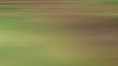 Soyut PUI20 Işık Arkaplan Duvar Kağıdı Renkli Gradyan Bulanık Yumuşak Yumuşak Hareket Parlaklığı