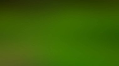 Soyut PUI20 Işık Arkaplan Duvar Kağıdı Renkli Gradyan Bulanık Yumuşak Yumuşak Hareket Parlaklığı