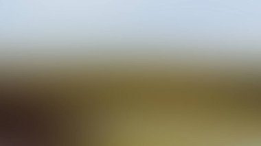 Soyut PUI20 Işık Arkaplan Duvar Kağıdı Renkli Gradyan Bulanık Yumuşak Yumuşak Hareket Parlaklığı