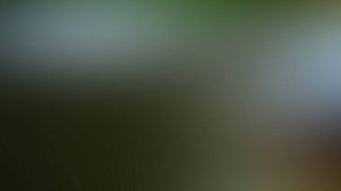 Soyut PUI20 Işık Arkaplan Duvar Kağıdı Renkli Gradyan Bulanık Yumuşak Yumuşak Hareket Parlaklığı