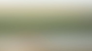 Soyut PUI20 Işık Arkaplan Duvar Kağıdı Renkli Gradyan Bulanık Yumuşak Yumuşak Hareket Parlaklığı